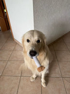 Cigarette Dog Toy