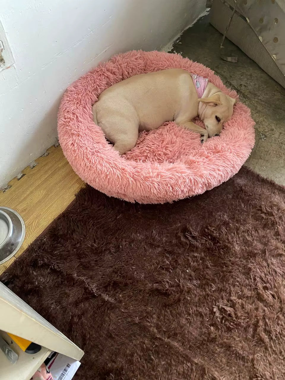 Calming Dog Bed
