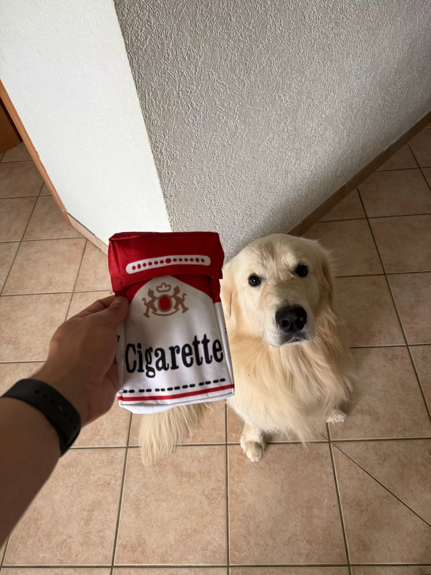 Cigarette Dog Toy