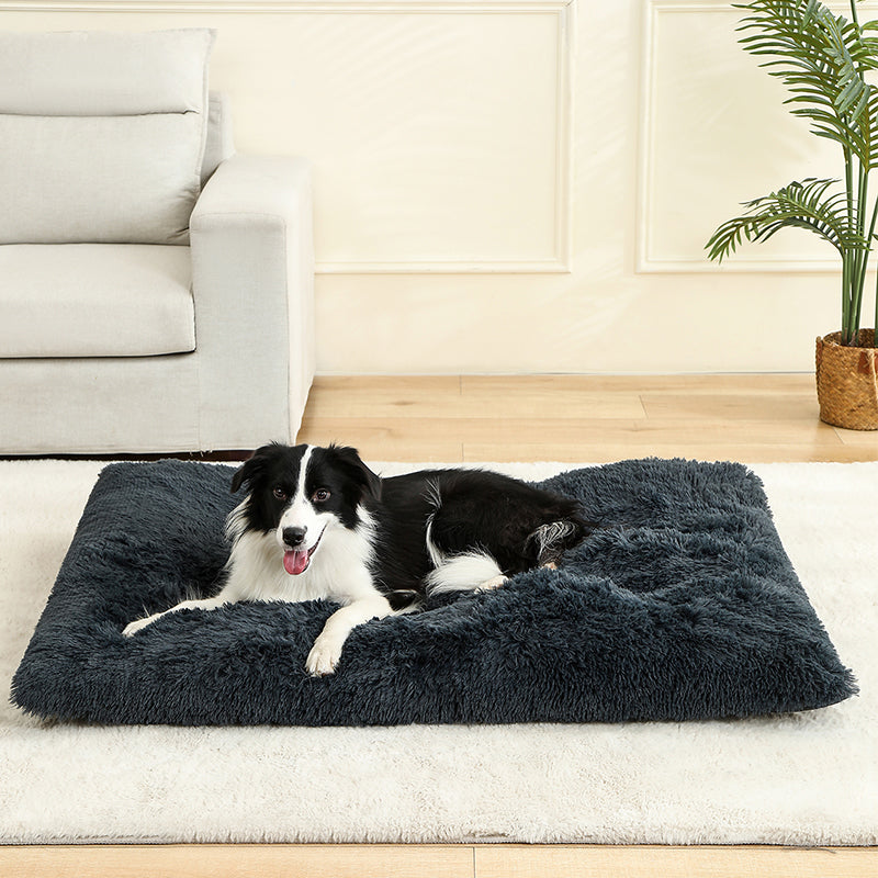Soft Dog Bed