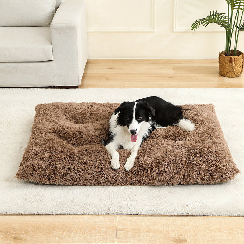 Soft Dog Bed