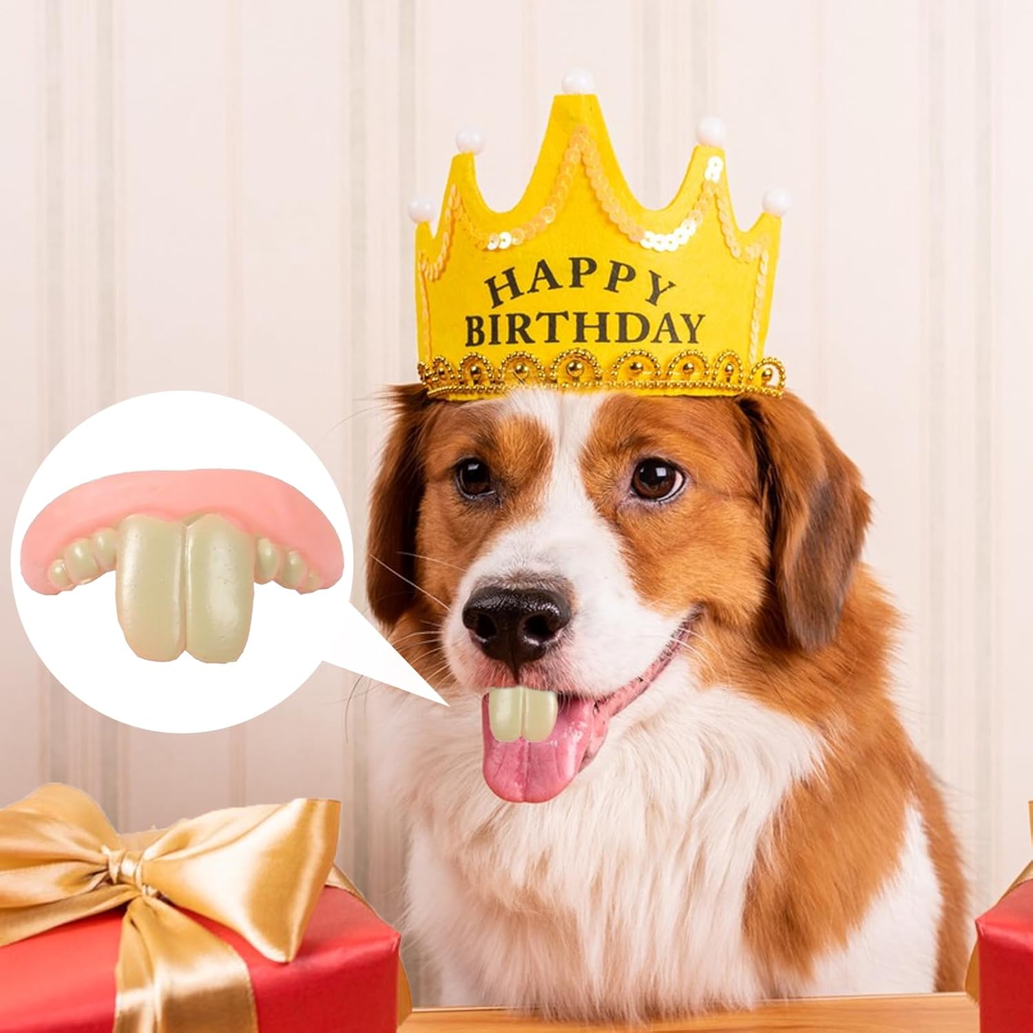 Funny Dog Teeth