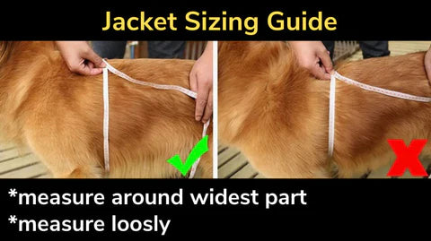 Waterproof Winter Jacket + Harness