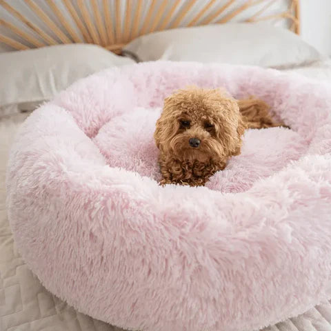 Calming Dog Bed